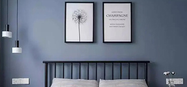 什么乳胶漆比较好？三棵树和阿尔贝娜的介绍